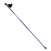 Kije Nordic Walking NILS TK631