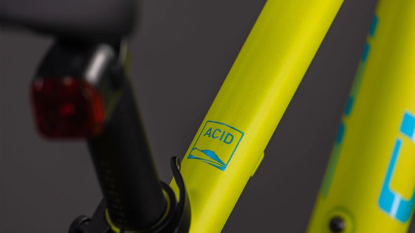 Rower dziecięcy Cube Acid 240 Disc FE 24" 2026 lizard