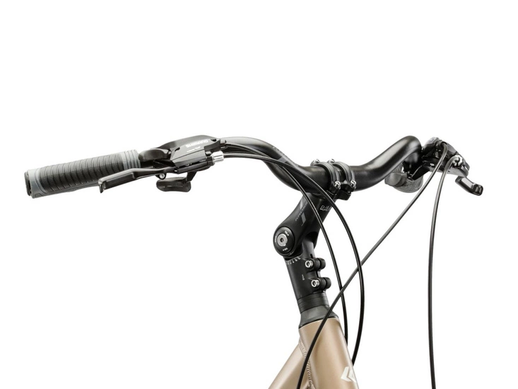 Rower trekkingowy Kross Trans 3.0 2025 brązowy