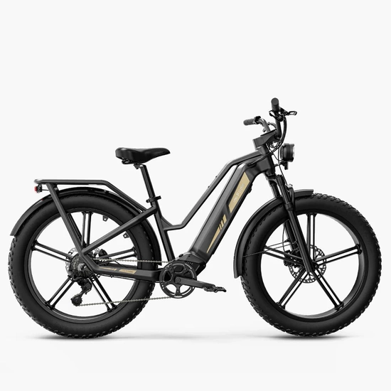 Rower elektryczny cargo fatbike Fiido Titan 696Wh 2025 czarny