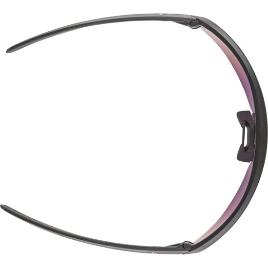 Okulary Alpina Turbo Pro Q-Lite black