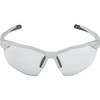 Okulary Alpina Twist Six HR S V