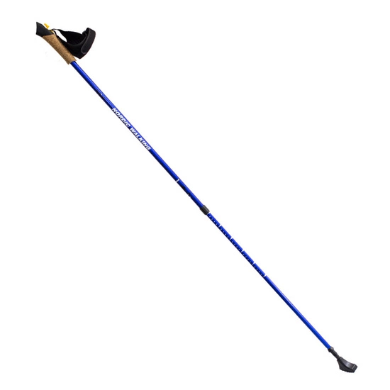 Kije Nordic Walking NILS TK631