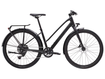 Rower crossowy Trek Dual Sport 2 Mid-step Gen 5 2025 grey