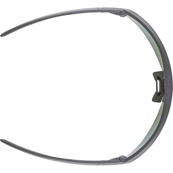 Okulary Alpina Turbo Pro Q-Lite grey