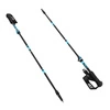 Kije trekkingowe NILS TK8604 black
