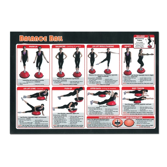 Piłka do balansowania HMS PREMIUM BSX czarna