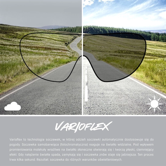 Okulary Alpina Turbo Pro Max Nerurkar Special