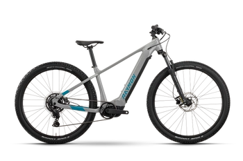 Rower elektryczny górski Raymon Hardray 500 29" 500Wh timelessgrey