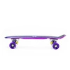 Deskorolka Pennyboard NILS EXTREME PNB01 rainbow electrostyle