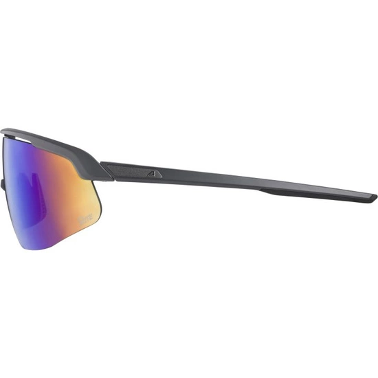 Okulary Alpina Turbo Pro Q-Lite grey