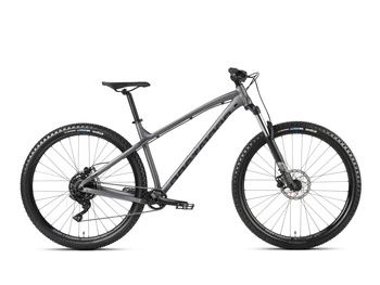 Rower górski Dartmoor Primal Intro 29 2025 grafit/czarny