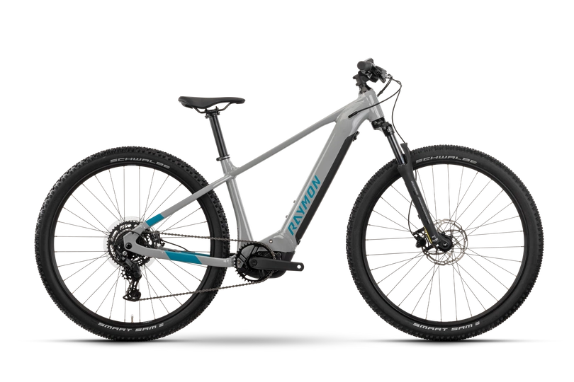 Rower elektryczny górski Raymon Hardray 500 29" 500Wh timelessgrey 