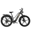 Rower elektryczny cargo fatbike Fiido Titan 696Wh 2025 czarny