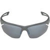 Okulary rowerowe Alpina Nylos HR midnight/grey