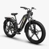 Rower elektryczny cargo fatbike Fiido Titan 696Wh 2025 czarny