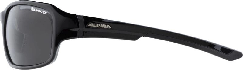 Okulary Alpina Lyron V