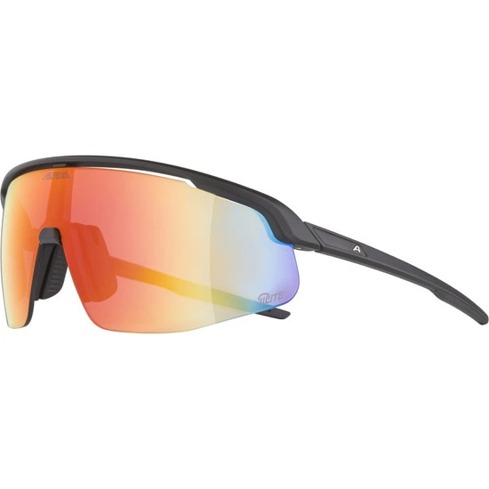 Okulary Alpina Turbo Pro Q-Lite black