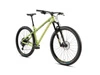 Rower górski Dartmoor Primal Evo 29 2025 green/olive