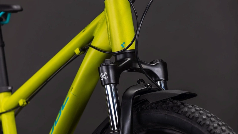 Rower dziecięcy Cube Acid 240 Disc FE 24" 2026 lizard