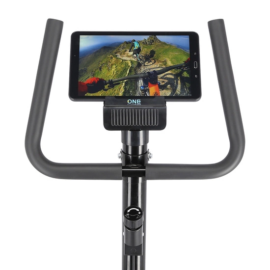 Rower stacjonarny mechaniczny ONE FITNESS RW3011 czarny