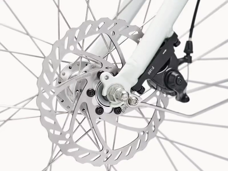 Rower elektryczny miejski Electra Loft Go! 7D EQ 250Wh 2025 stardust