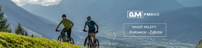 Bagażnik rowerowy Topeak MTX Explorer Disc 29"