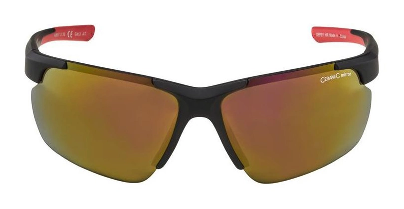 Okulary Alpina Defey HR