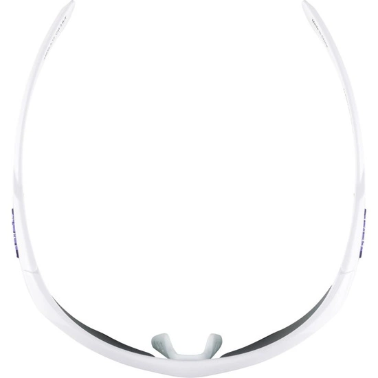 Okulary Alpina Nylos HR