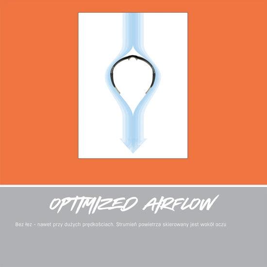 Okulary Alpina Turbo Pro Q-Lite blue