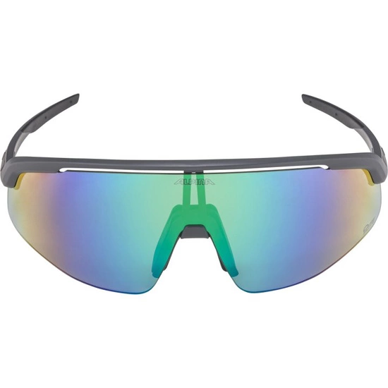 Okulary Alpina Turbo Pro Q-Lite grey