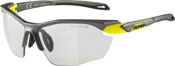 Okulary Alpina Twist Five HR V