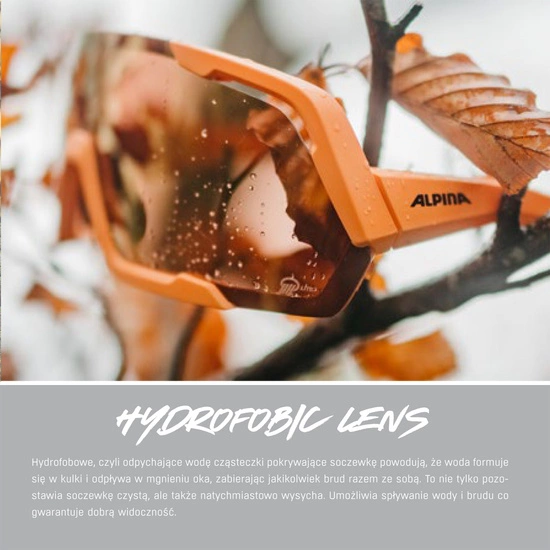 Okulary Alpina Turbo Pro Max Nerurkar Special