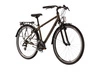 Rower trekkingowy Kross Trans 2.0 2024 khaki