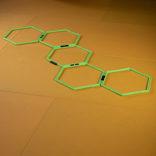 Siatka koordynacyjna HMS SKR06