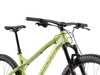 Rower górski Dartmoor Primal Evo 29 2025 green/olive