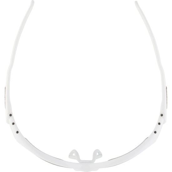 Okulary Alpina Twist Five HR S V