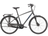 Rower trekkingowy Trek District 2 Equipped 2023 lithium grey