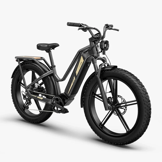Rower elektryczny cargo fatbike Fiido Titan 696Wh 2025 czarny