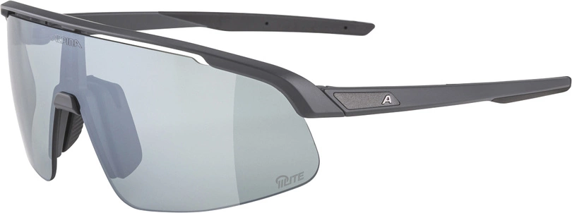 Okulary Alpina Turbo Pro S Q-Lite grey