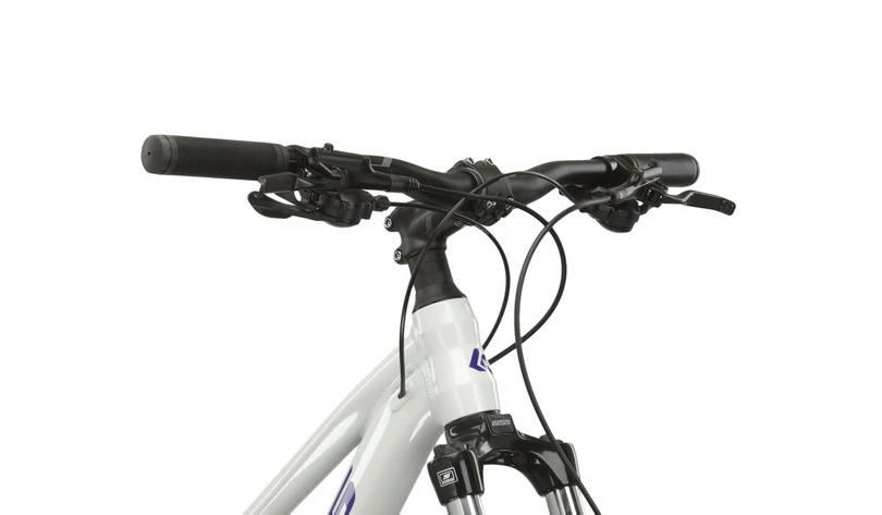 Rower górski Kross Lea 4.0 2024 perłowy/fioletowy