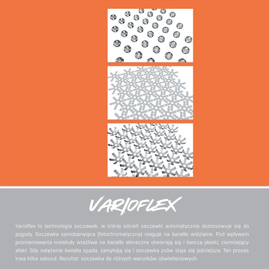 Okulary Alpina Twist Five HR S V