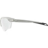 Okulary Alpina Twist Six HR S V