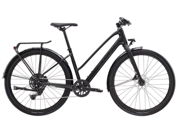 Rower crossowy Trek Dual Sport 2 Mid-step Gen 5 2025 grey