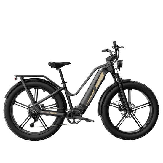 Rower elektryczny cargo fatbike Fiido Titan 696Wh 2025 czarny